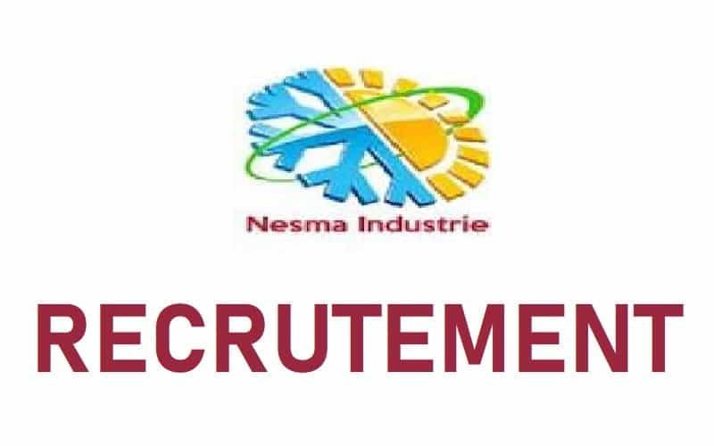 La société Nesma Industrie
