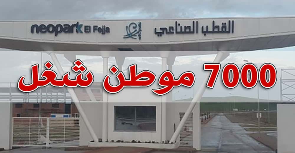 المنطقة الصنايعة نيوبارك الفجة