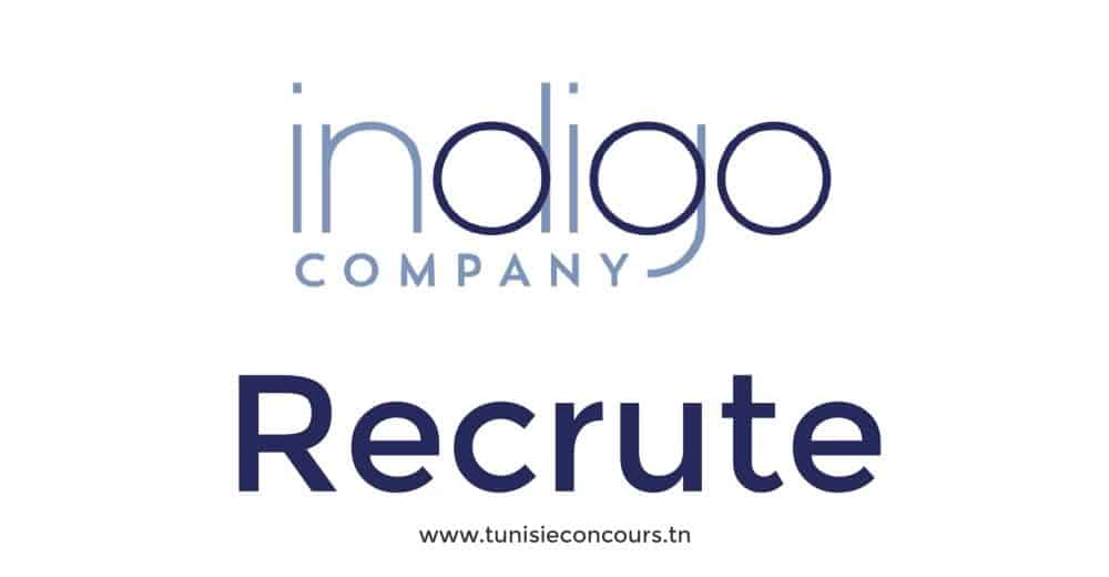 Indigo Company