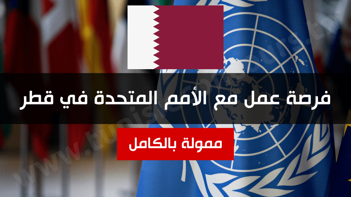 فرصة عمل مع الأمم المتحدة في قطر