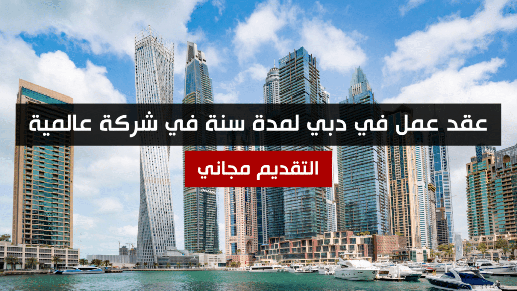 عقد عمل في دبي لمدة سنة في شركة عالمية