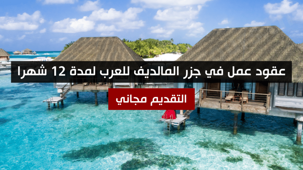 عقود عمل في جزر المالديف للعرب لمدة 12 شهرا