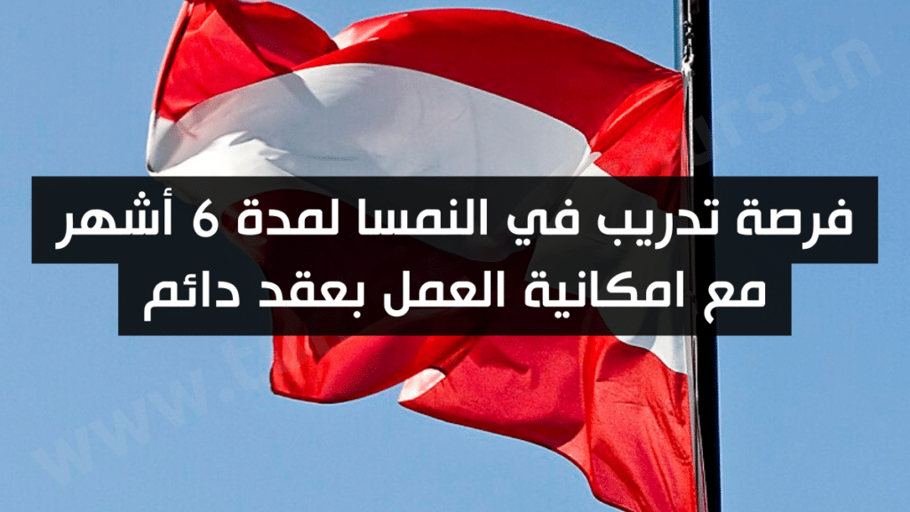 فرصة تدريب في النمسا لمدة 6 أشهر مع امكانية العمل بعقد دائم