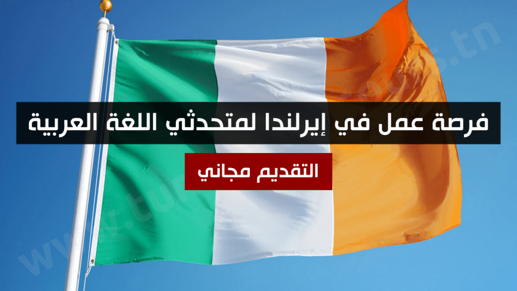 فرصة عمل في إيرلندا لمتحدثي اللغة العربية