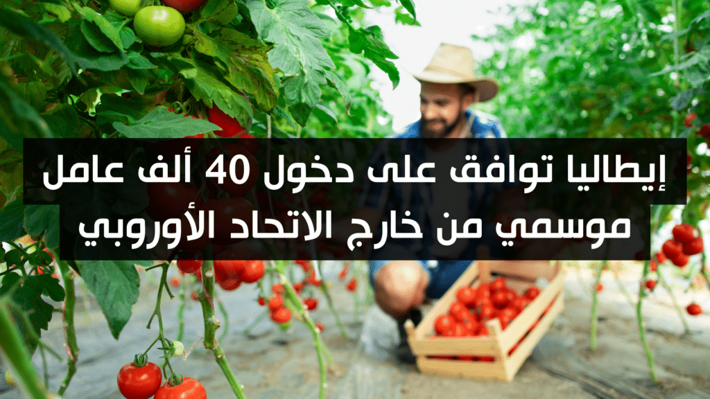 إيطاليا توافق على دخول 40 ألف عامل موسمي من خارج الاتحاد الأوروبي