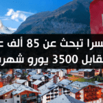 للعمل في سويسرا كفرنسي، هناك مجموعة من المهارات والصفات الضرورية. يمكن أن يتضمن ذلك: 1. إتقان اللغة: قد تتطلب الوظيفة إتقان اللغة الألمانية أو الإيطالية أو الألمانية السويسرية، وذلك حسب المنطقة التي تعمل فيها. إتقان اللغة المحلية يساعد على التفاهم والتواصل الفعّال مع زملائك والمجتمع. 2. الفهم الثقافي: يجب أن يتمتع الموظف بفهم شامل للثقافة والعادات المختلفة بين فرنسا وسويسرا. هذا يساعد في تجنب التصرفات غير الملائمة والتكيف بفعالية. 3. الالتزام بالمواعيد والدقة: السويسريون يعتزمون بالالتزام بالمواعيد والدقة في العمل. يجب أن تكون عادات العمل الدقيقة والمواعيد ملتزمًا بها. 4. الاستقلالية: يتوقع في العامل أن يكون قادرًا على العمل بشكل مستقل واتخاذ القرارات المناسبة. 5. الاعتراف بالدبلومات: في بعض الحالات، قد تتطلب الوظائف في سويسرا الاعتراف بالدبلومات الفرنسية أو إجراءات إضافية لتقديمها. 6. التكيف والانفتاح: يعد التكيف مع البيئة السويسرية والاستعداد للاندماج في المجتمع المحلي من المهارات الأساسية لتحقيق النجاح في سويسرا. بالتالي، يجب أن يكون لديك هذه الصفات والمهارات لزيادة فرصك في العمل بنجاح في سويسرا كفرنسي.