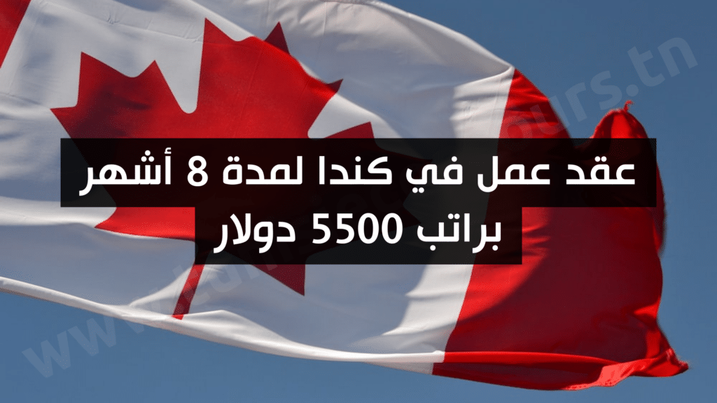 عقد عمل في كندا لمدة 8 أشهر براتب 5500 دولار