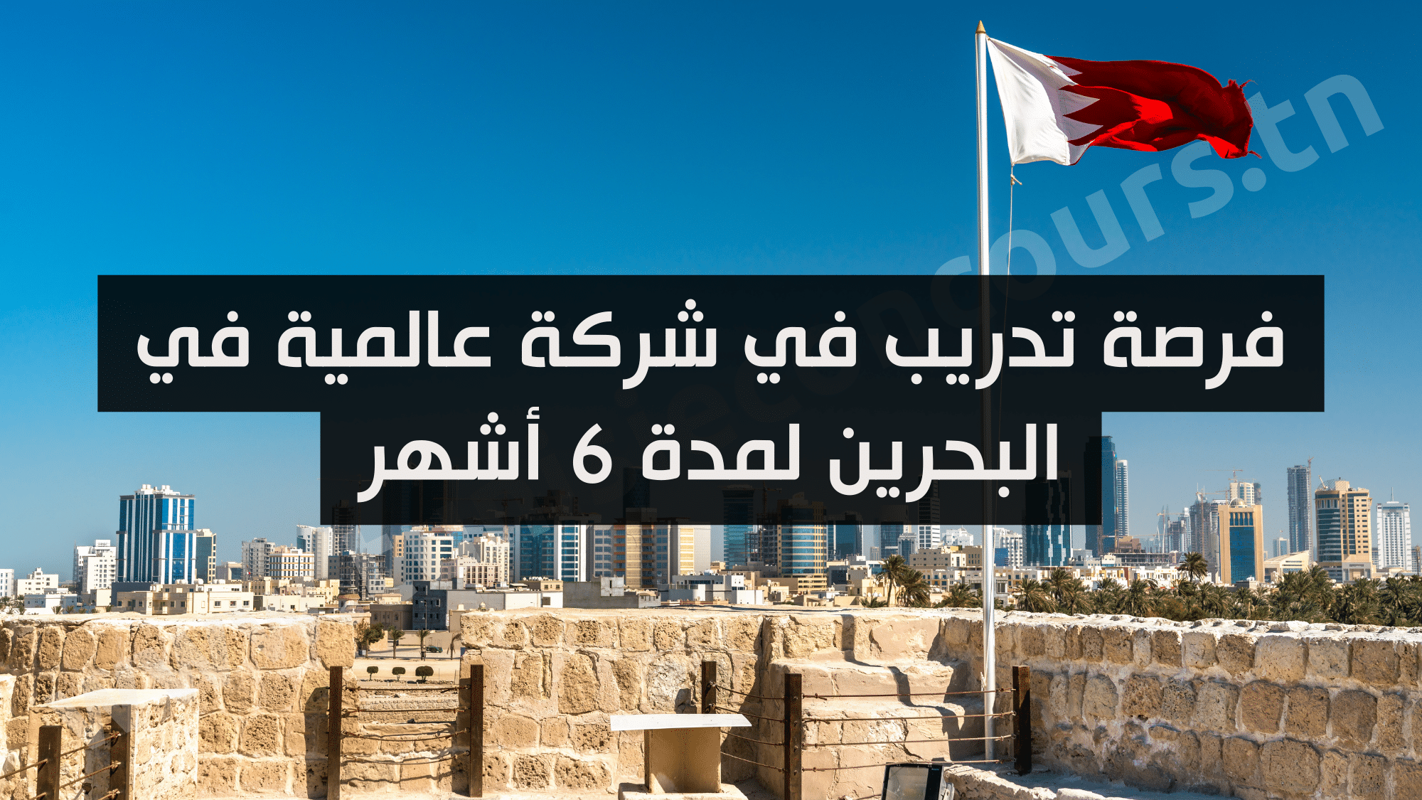 فرصة تدريب في شركة عالمية في البحرين لمدة 6 أشهر