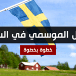 العمل الموسمي في السويد