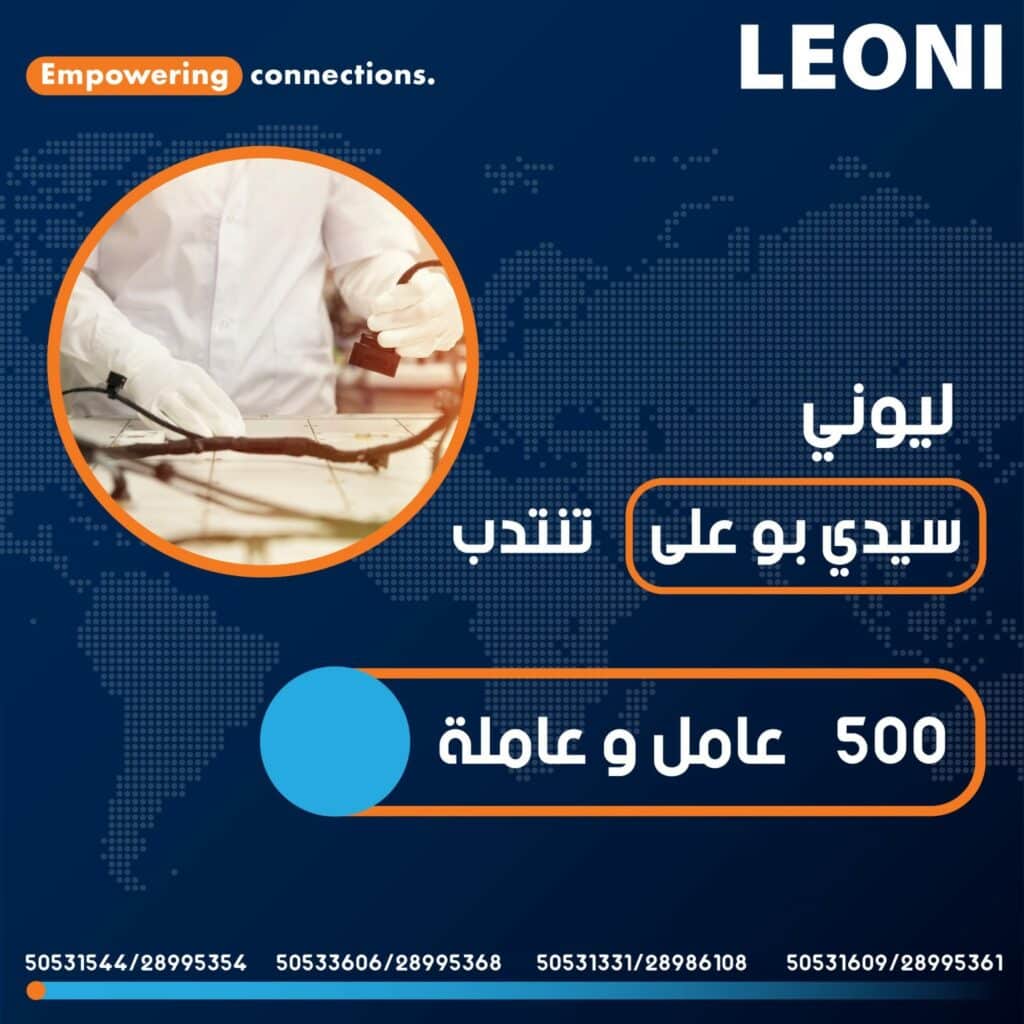 ليوني سيدي بوعلي 1536x1536 1