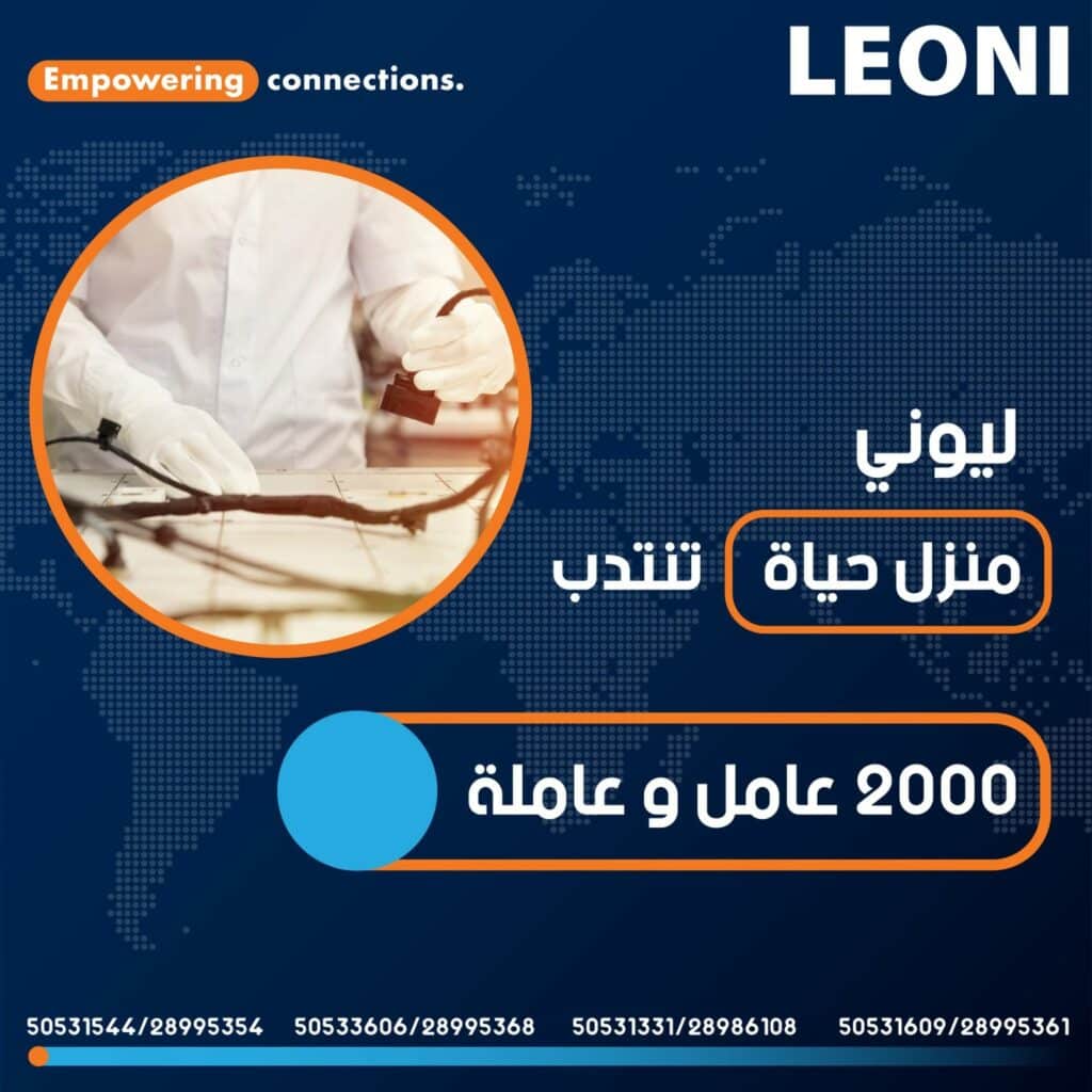 ليوني منزل حياة 1536x1536 1