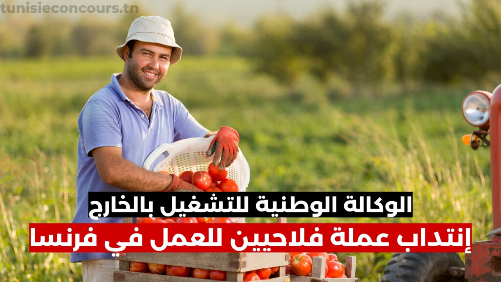 الوكالة الوطنية للتشغيل بالخارج : إنتداب عملة فلاحيين للعمل في فرنسا