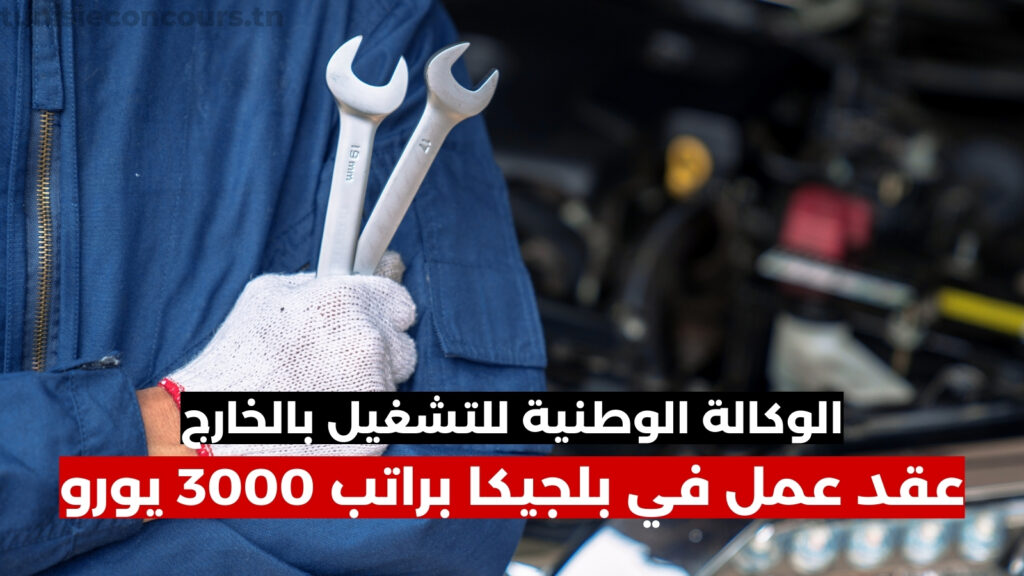 الوكالة الوطنية للتشغيل بالخارج : عقد عمل في بلجيكا براتب 3000 يورو