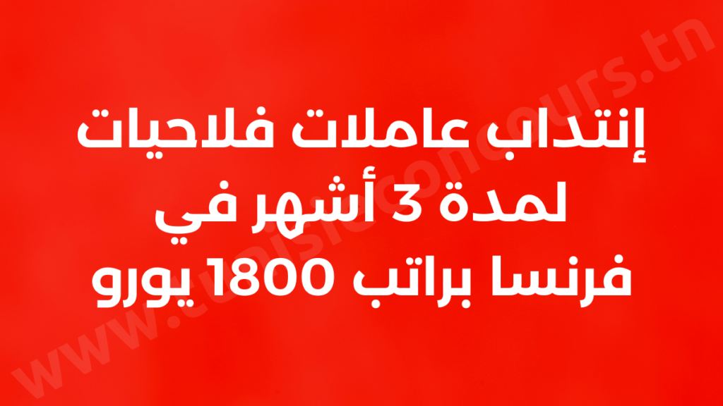 إنتداب عاملات فلاحيات لمدة 3 أشهر في فرنسا براتب 1800 يورو
