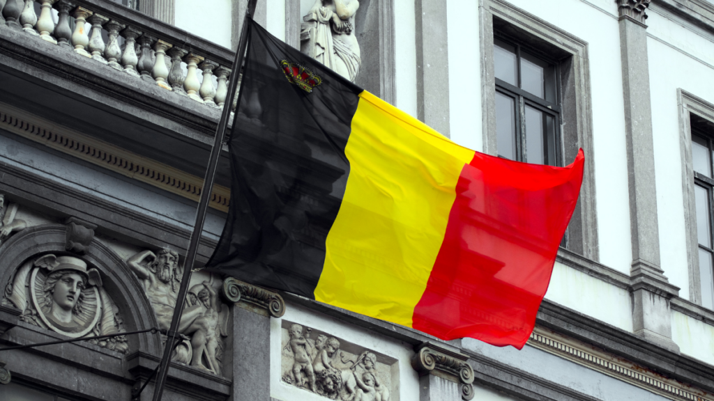 فرصة تطوع في بلجيكا لمدة 12 شهر شامل الإقامة وراتب شهري