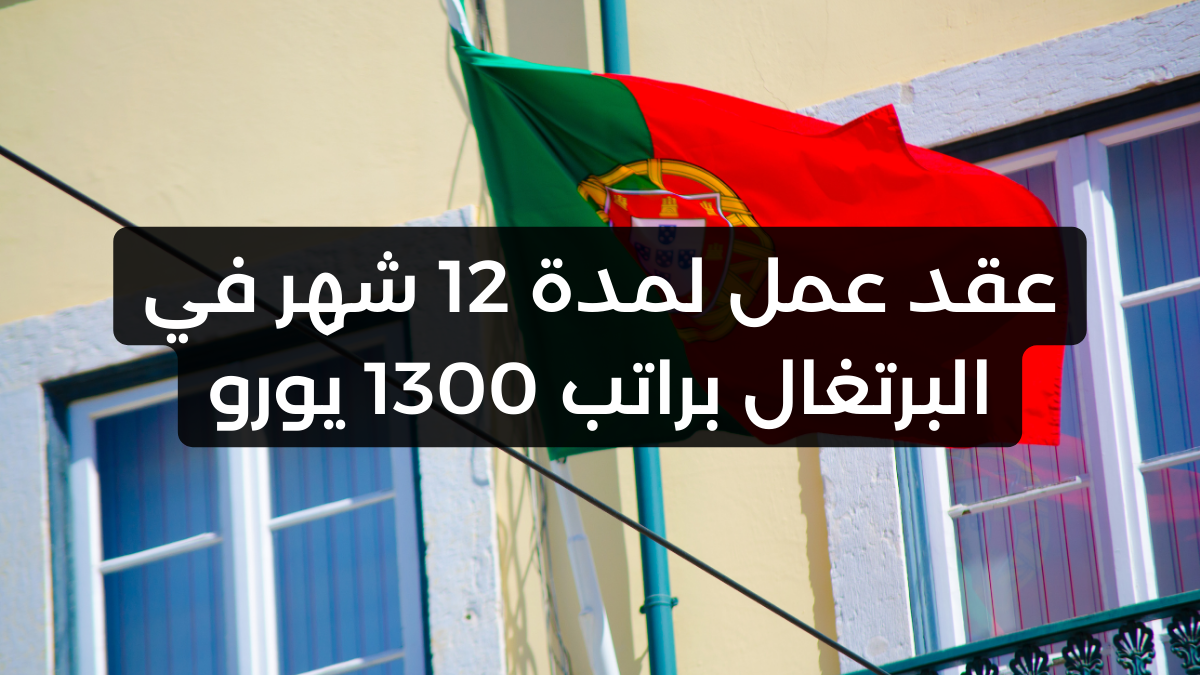 عقد عمل لمدة 12 شهر في البرتغال براتب 1300 يورو