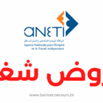 جميع عروض الشغل المفتوحة حاليا عن طريق الوكالة الوطنية للتشغيل بالخارج - ANETI INTERNATIONAL