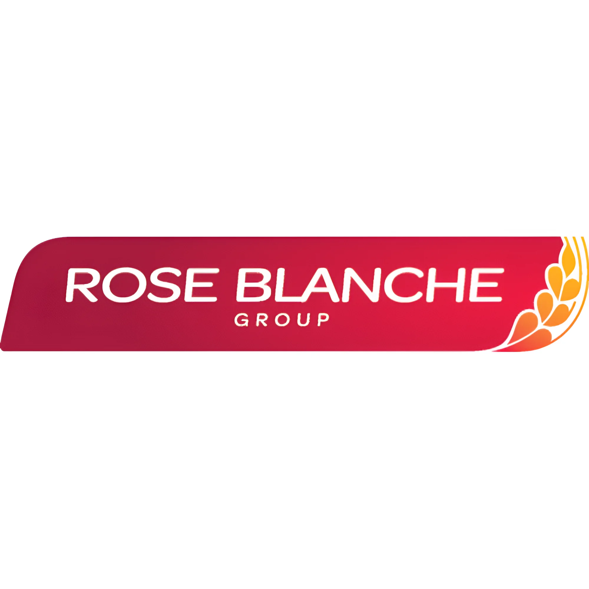 Logo La rose blanche
